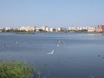 Идёт приём документов для участия в областном конкурсе проектов «Инвестор года»