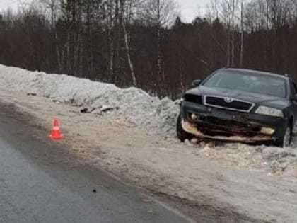 Нелепая случайность. Под Северодвинском погиб 33-летний водитель "Шкоды"