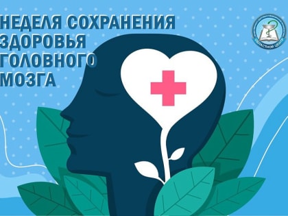 Мозг любит общительных и активных