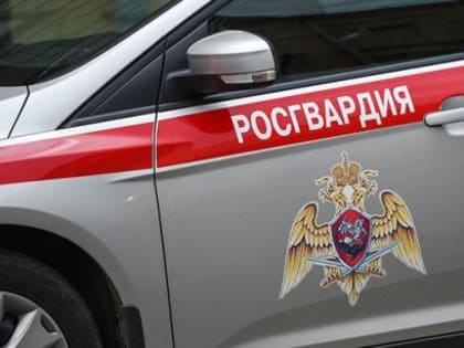 Котласский наряд Росгвардии задержал злостного рецидивиста, подозреваемого в хищении алкоголя