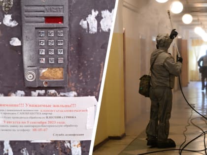 Архангельское УФАС возбудило дело на фирму, которую рекламируют подозрительные объявления о клопах