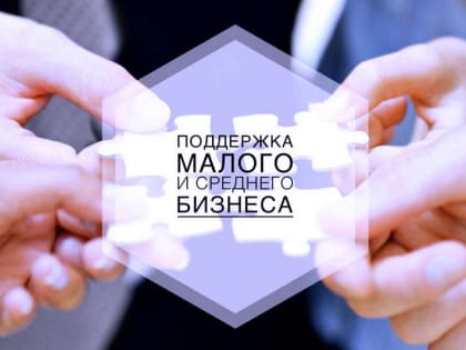 Более 240 млрд рублей привлек малый и средний бизнес России при гарантийной поддержке по нацпроекту в первом квартале текущего года