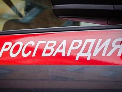 В Северодвинске задержали двух вороваек с наркотой