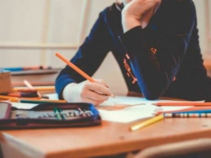 В школах планируют проводить классные часы на общественно-политические темы