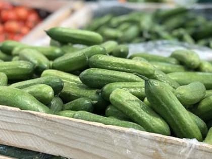 Рост цен в Архангельской области в июне составил 17,6% по сравнению с прошлым годом