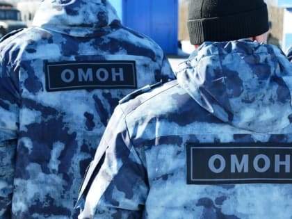ОМОН Росгвардии принял участие в обеспечении правопорядка на матче по хоккею с мячом в Архангельске