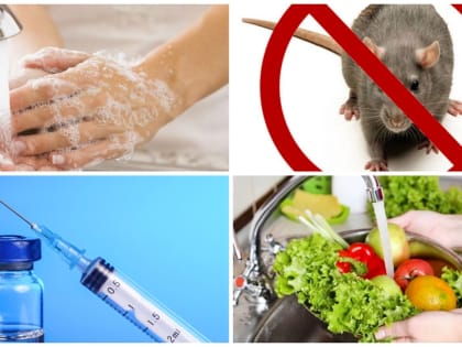 Природно-очаговые и опасные инфекции: что нужно знать и как себя обезопасить