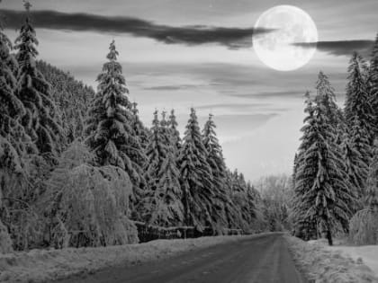 Встречаем Новый год на Севере