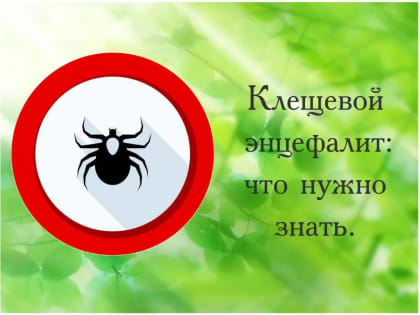 Как уберечься от клещей