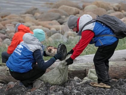 Проект «Чистая Арктика»: идёт отбор волонтёров
