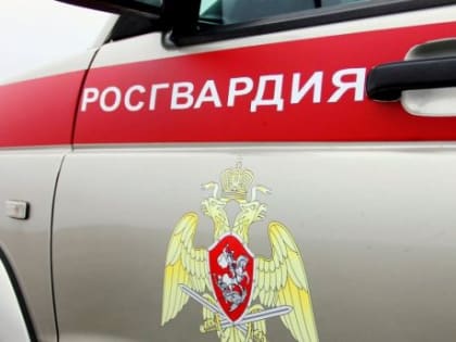 Росгвардейцы задержали котлашанина, подозреваемого в краже велосипеда