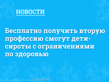 Бесплатно получить вторую профессию смогут дети-сироты с ограничениями по здоровью