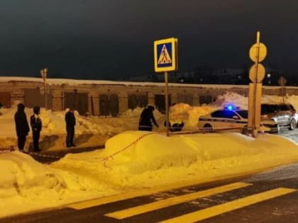 Четырехлетняя девочка погибла при ДТП на «зебре» в центре Архангельска