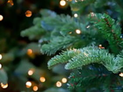 Администрации округов начали подготовку к Новому году