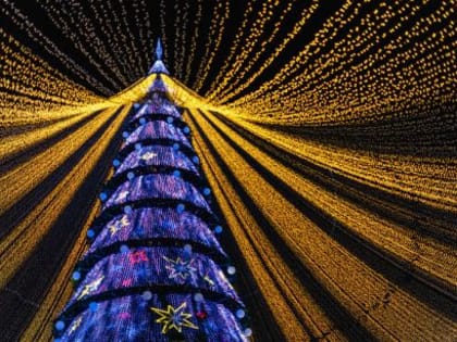 В России предложили обсудить отказ от новогодних корпоративов и концертов