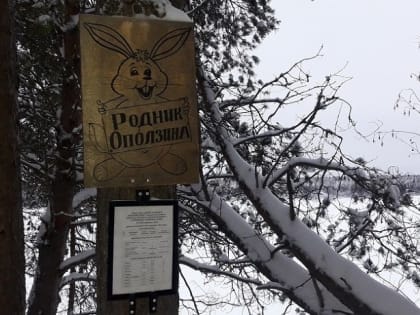 Сведения о 190 родниках Поморья внесены в соответствующую информационную систему