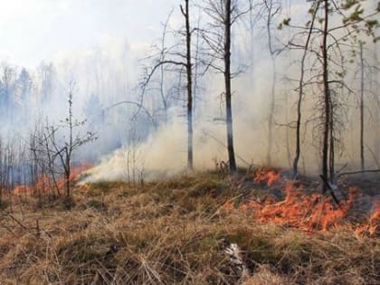 В правительстве области подвели итоги пожароопасного сезона