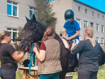 В лечении пациентов Архангельской психиатрической больницы помогает иппотерапия