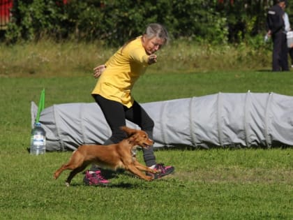 Четвероногие спортсмены подтвердили спортивные разряды