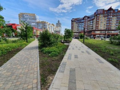 Трицатиградусная жара ожидается в выходные на юге Архангельской области
