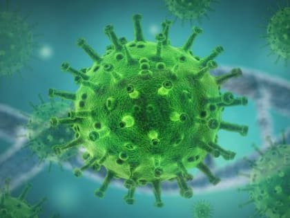 В Архангельской области впервые за полгода вывили менее 200 случаев коронавируса