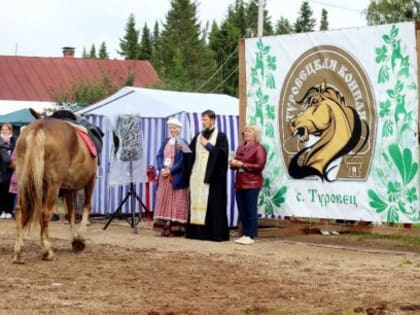 Туровецкая конная