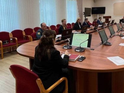 Работа по реализации в Архангельской области программы «Репродуктивное здоровье» будет продолжена и дополнена