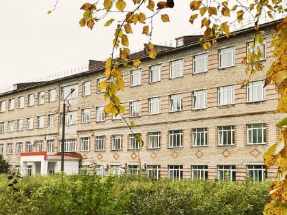 С начала года в Вельской больнице приступили к работе 12 новых специалистов