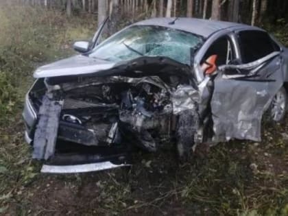 В Архангельской области погиб 42-летний водитель отечественной легковушки