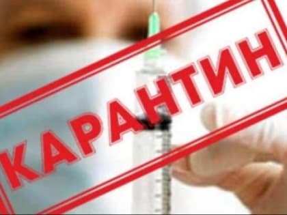 В Архангельске ввели карантин по гриппу и ОРВИ