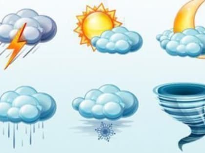 Погода в Коряжме 16 декабря