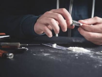 Наркобизнес двоих архангелогородцев прикрыли еще до запуска