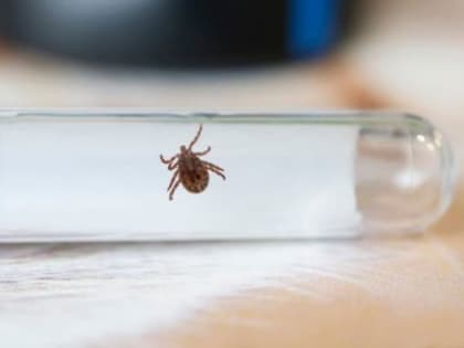 Уже нападают!