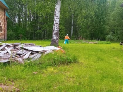 Очистили от паразитов! Сийский монастырь подвергся санитарной обработке