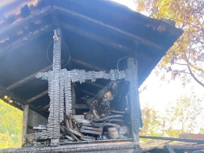 В Коряжме огонь уничтожил крольчатник и повредил баню