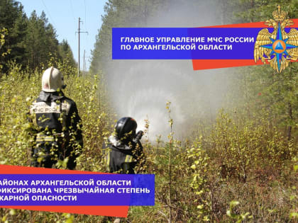 На территории Архангельской области зафиксированы 4 и 5 классы пожарной опасности по погодным условиям