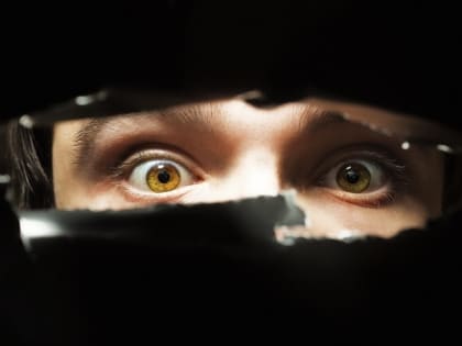 Жулики в Архангельске на 900 тысяч рублей обманули преподавателя