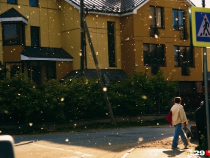 Аллергия и риск пожаров: чем опасен тополиный пух