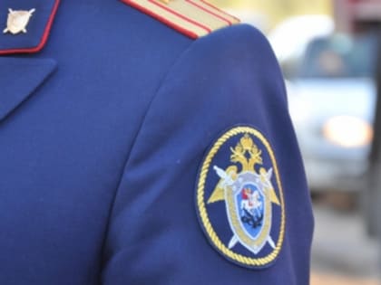 Бывшие инспекторы ДПС ГИБДД ОМВД России по городу Северодвинску предстанут перед судом по обвинению в превышении должностных полномочий