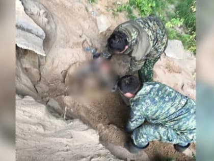 Архангелогородец затряхнул насмерть возлюбленную после предложения расстаться