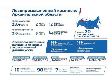 Решения по поддержке лесопромышленных предприятий, принятые Президентом Владимиром Путиным, стабилизировали ситуацию в ЛПК Архангельской области