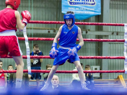 В Архангельске состоялся турнир по боксу памяти архангельских тренеров Александра Рыбина и Евгения Антуфьева