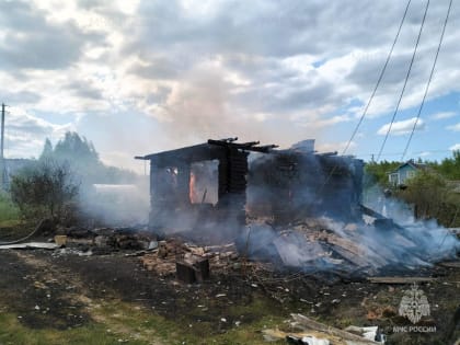 Совет МЧС России: не пытайтесь потушить крупный пожар самостоятельно