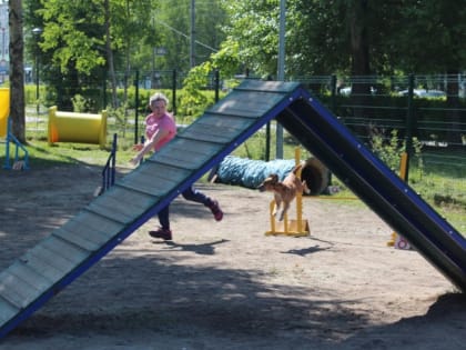 В честь праздника в Северодвинске прошёл фестиваль по аджилити