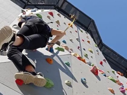 Новый скалодром под открытым небом в Архангельске прикрыли на время из-за «кляузы»