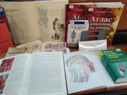 Выставка «Медицинская анатомическая иллюстрация»