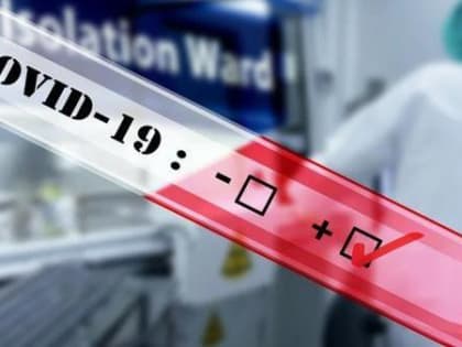 Число выявленных случаев ковида в Поморье за сутки резко подскочило почти до 500