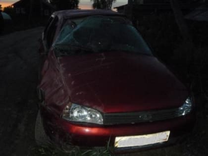 В Архангельской области бесправный водитель перевернул автомобиль и бросил место ДТП