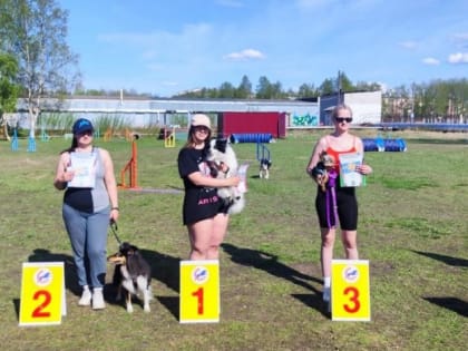 Собаки показали класс в аджилити