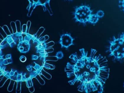 О мониторинге эпидемиологической ситуации по новой коронавирусной инфекции